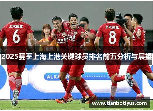 2025赛季上海上港关键球员排名前五分析与展望