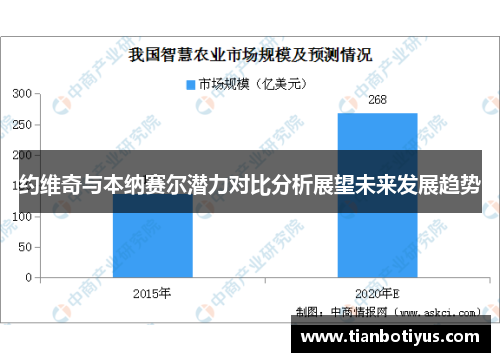 约维奇与本纳赛尔潜力对比分析展望未来发展趋势