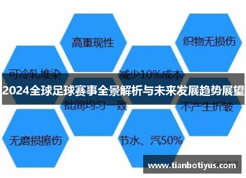 2024全球足球赛事全景解析与未来发展趋势展望