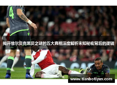 揭开维尔贝克黑贝之谜的五大真相深度解析未知秘密背后的逻辑